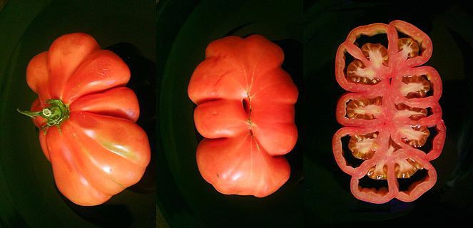 320px-cuor_di_bue_3in1